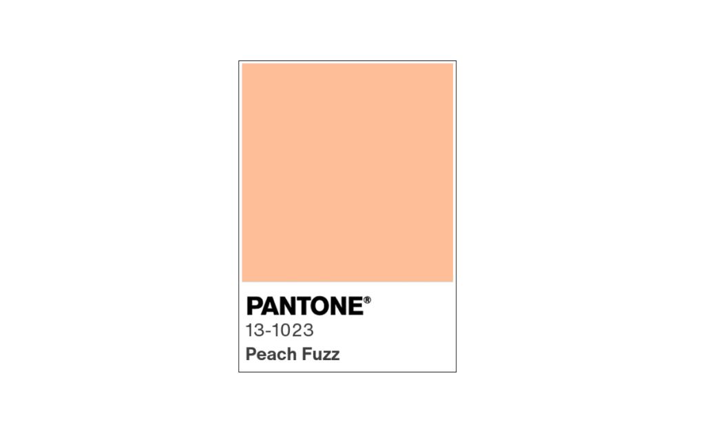 Pantone color of the year paint swatch by www.KathrynCooperWeddings.com